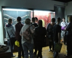 Comenius 50