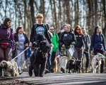 DOGTREKING z Wild Dogs Team 02