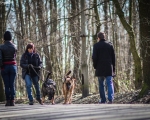 DOGTREKING z Wild Dogs Team 06