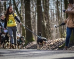DOGTREKING z Wild Dogs Team 07