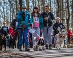 DOGTREKING z Wild Dogs Team 12