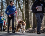 DOGTREKING z Wild Dogs Team 20