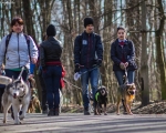 DOGTREKING z Wild Dogs Team 21