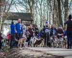 DOGTREKING z Wild Dogs Team 22