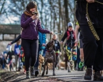 DOGTREKING z Wild Dogs Team 23