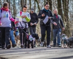 DOGTREKING z Wild Dogs Team 24