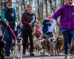 DOGTREKING z Wild Dogs Team 25