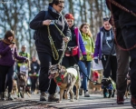 DOGTREKING z Wild Dogs Team 29