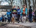 DOGTREKING z Wild Dogs Team 30