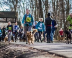 DOGTREKING z Wild Dogs Team 32