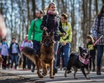 DOGTREKING z Wild Dogs Team 34