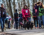 DOGTREKING z Wild Dogs Team 43