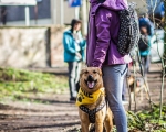 DOGTREKING z Wild Dogs Team 48