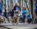 DOGTREKING z Wild Dogs Team 49
