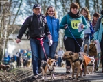 DOGTREKING z Wild Dogs Team 51
