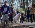 DOGTREKING z Wild Dogs Team 56