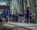 DOGTREKING z Wild Dogs Team 59