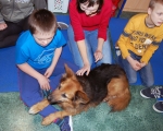 Dogoterapia 02