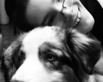 Dogoterapia 16