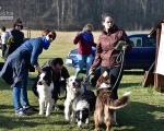 Dogtrekking 05.JPG