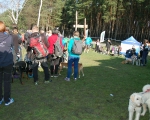 Dogtrekking 07.JPG