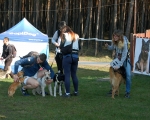 Dogtrekking 08.JPG