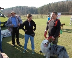 Dogtrekking 13.JPG