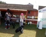 Dogtrekking 15.JPG