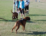 Dogtrekking 17.JPG