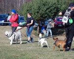 Dogtrekking 19.JPG