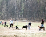 Dogtrekking 26.JPG