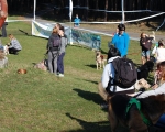 Dogtrekking 28.JPG