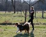 Dogtrekking 41.JPG