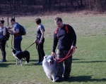 Dogtrekking 42.JPG