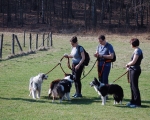 Dogtrekking 44.JPG