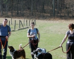 Dogtrekking 45.JPG