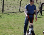 Dogtrekking 46.JPG