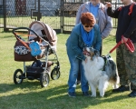 Dogtrekking 47.JPG
