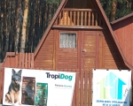 Dogtrekking 66.JPG