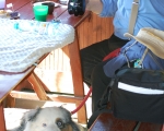 Dogtrekking 76.JPG