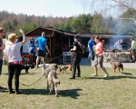 Dogtrekking 78.JPG