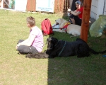 Dogtrekking 79.JPG