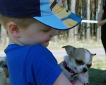 Dogtrekking 86.JPG