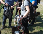 Dogtrekking 87.JPG
