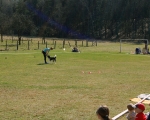 Dogtrekking 89.JPG