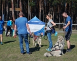 Dogtrekking 93.JPG