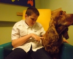 Dototerapia 2011-2012 14.JPG