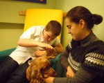 Dototerapia 2011-2012 15.JPG
