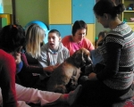 Dototerapia 2011-2012 17.JPG