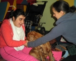 Dototerapia 2011-2012 24.JPG